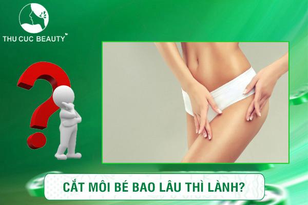 cắt môi bé bao lâu thì lành